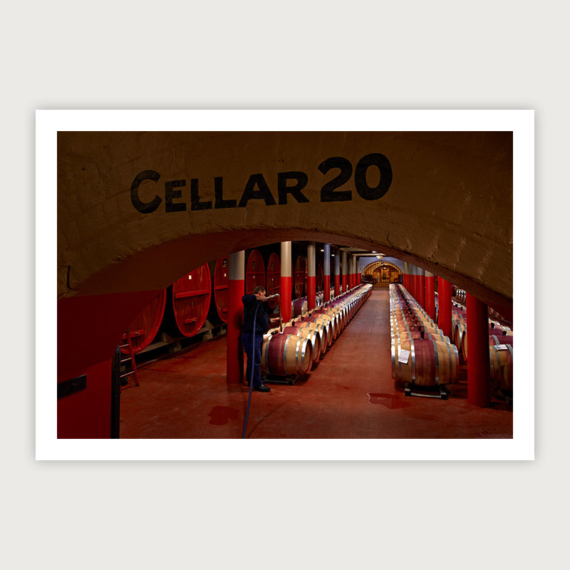 Cellar 20 Magill